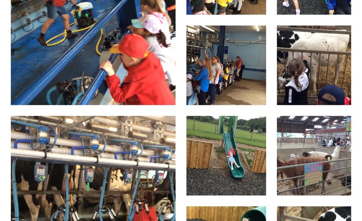 Image of Y1 Trip to Smithills Farm