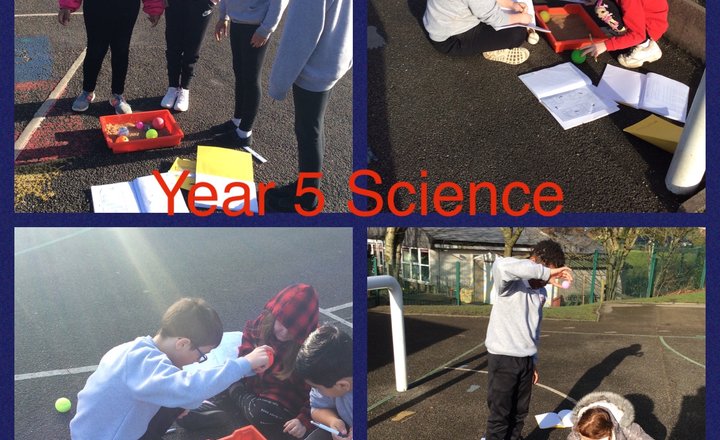 Image of Y5 - Science, Collecting Data.