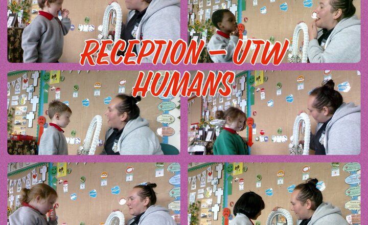 Image of Reception -UtW - Humans