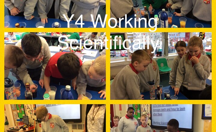 Image of Y4 - Working Scientifically