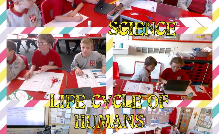 Image of Year 5 Science - Humans