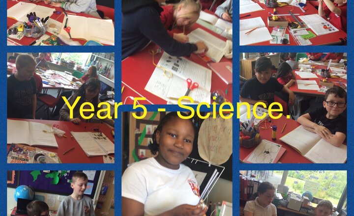 Image of Year 5 Science