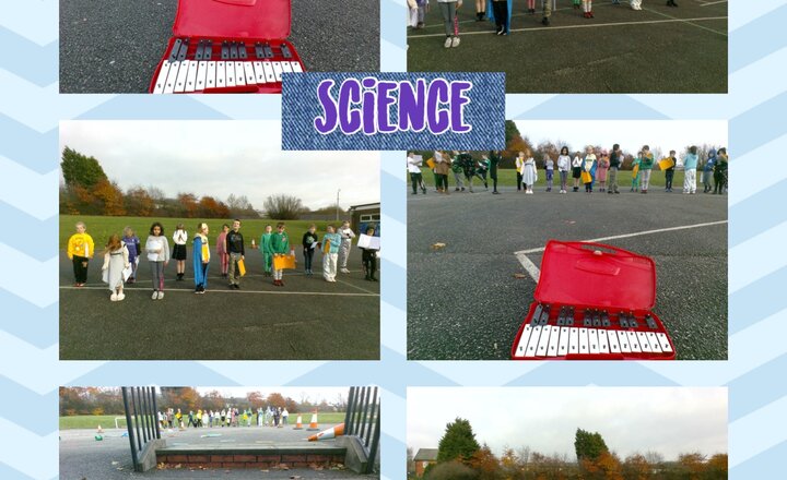 Image of Year 4 Science 