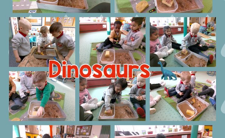 Image of 2’s Room - Dinosaurs
