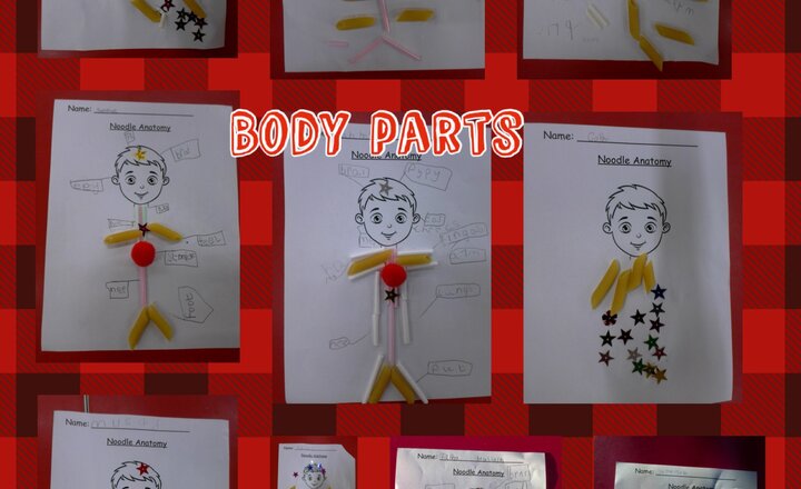 Image of Year 1 Science - Body Parts
