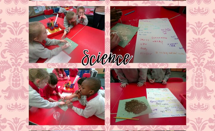 Image of Year 3 Science - Comparing Soil