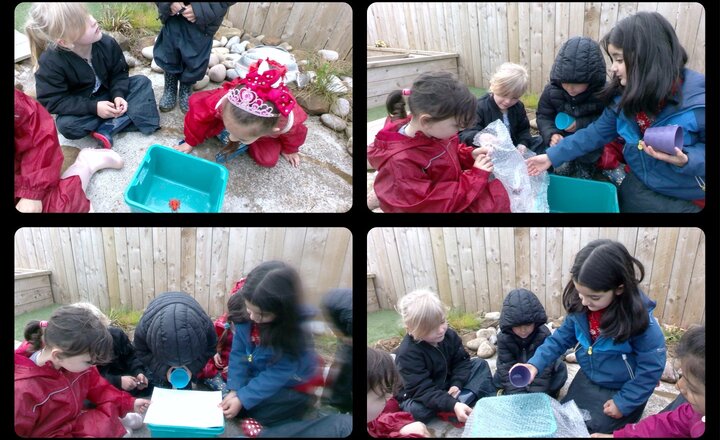 Image of Reception - Working Scientifically- Incy Wincy Spider