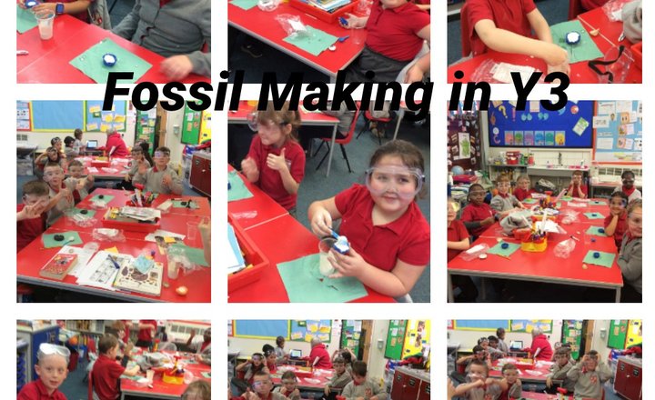 Image of Y3 - Making Fossils